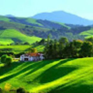 Meet your Posher, Justino